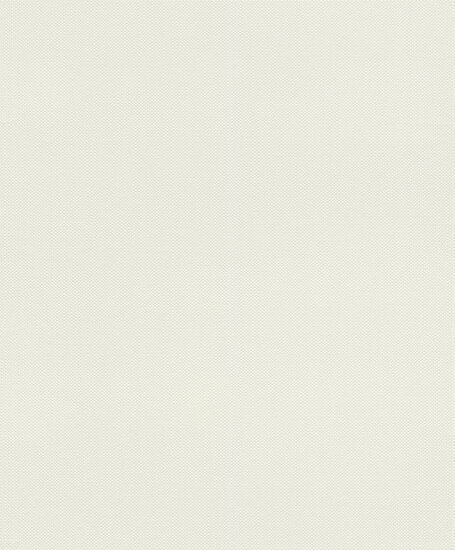 Rasch Deco Style 312324 Wit Behang