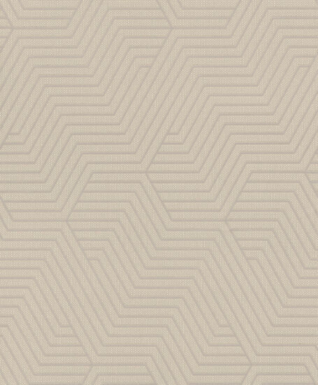 Rasch Deco Style 312522 Grijs Behang