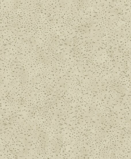 Noordwand Lustre DWP0019-02 Beige Metallic Behang