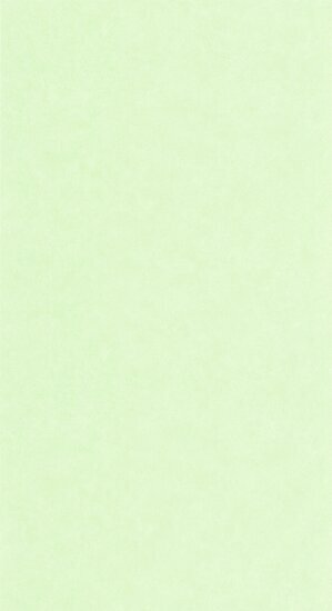 Caselio Ceramique CER105247499 - Groen Behang