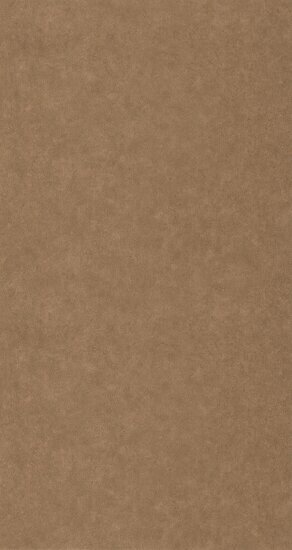 Caselio Ceramique CER105252040 - Bruin Behang