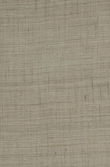 Arte Wild Silk GHICHA SILK 86542 Taupe Behang