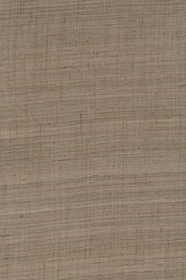 Arte Wild Silk GHICHA SILK 86545 Bruin Behang