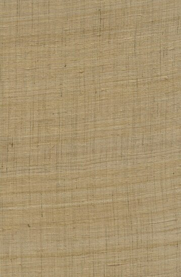 Arte Wild Silk GHICHA SILK 86549 Beige Behang