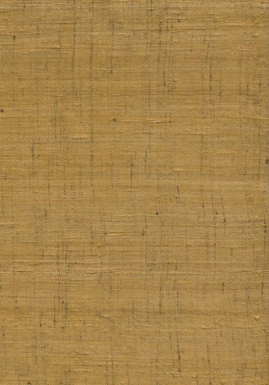 Arte Wild Silk GHICHA SILK 86550 Beige Behang