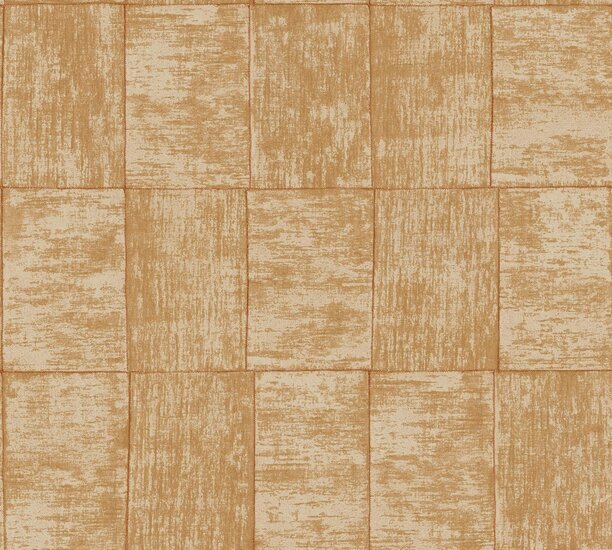 HookedOnWalls CABANE MEDINILLA 20933 Bruin Behang