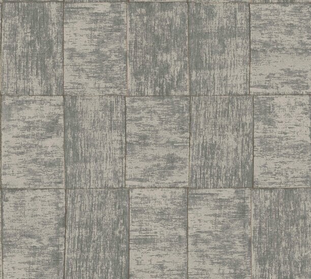 HookedOnWalls CABANE MEDINILLA 20936 Zwart / Bruin Behang