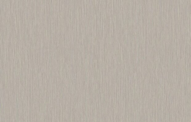 HookedOnWalls CABANE YUCCA PLAIN 20942 Taupe Behang