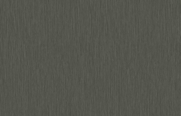 HookedOnWalls CABANE YUCCA PLAIN 20946 Zwart Behang