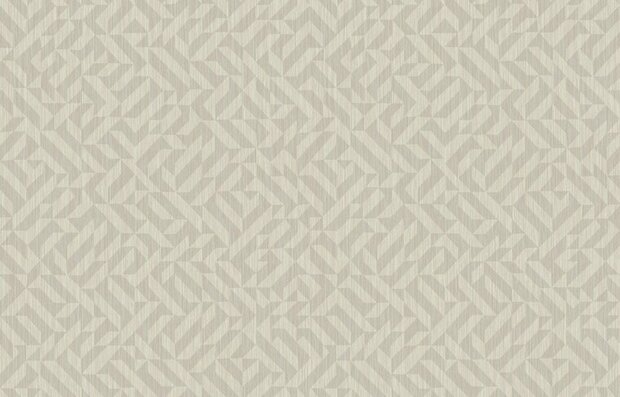 HookedOnWalls CABANE YUCCA 20950 Taupe Behang
