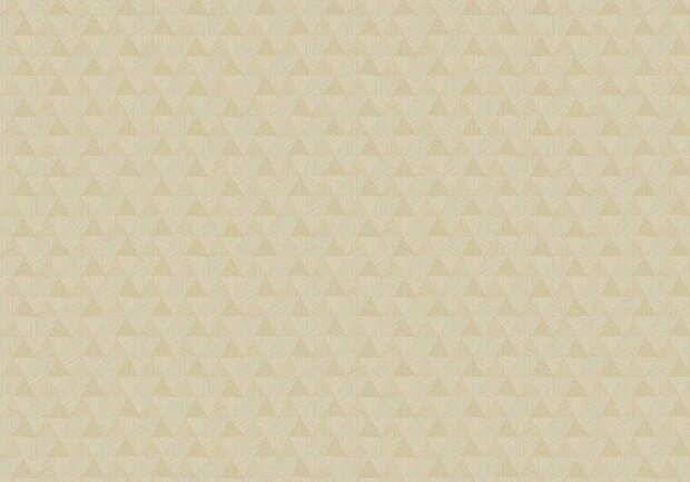 HookedOnWalls JV 602 JAIPUR TRIANGLES TROPICALES 6831 Behang