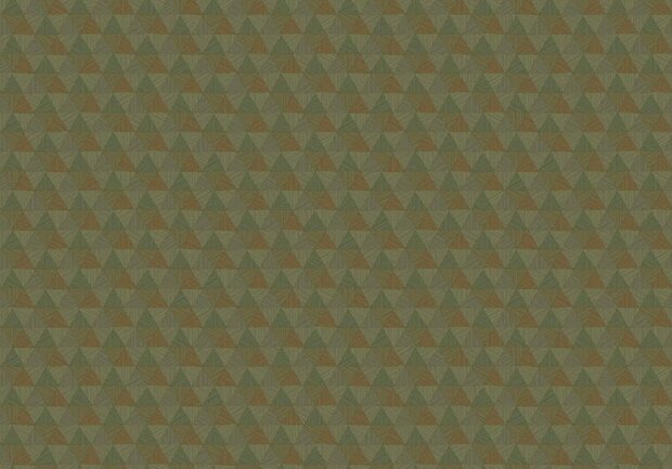 HookedOnWalls JV 602 JAIPUR TRIANGLES TROPICALES 6834 Behang