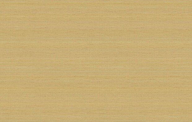 HookedOnWalls JV 602 JAIPUR UNI SOIE TROPICAL 6851 Behang