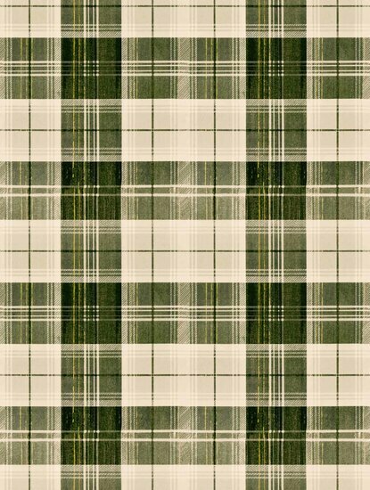 Mind The Gap Transylvanian Roots WP30010 Behang