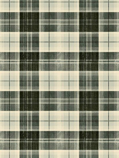 Mind The Gap Transylvanian Roots WP30011 Behang