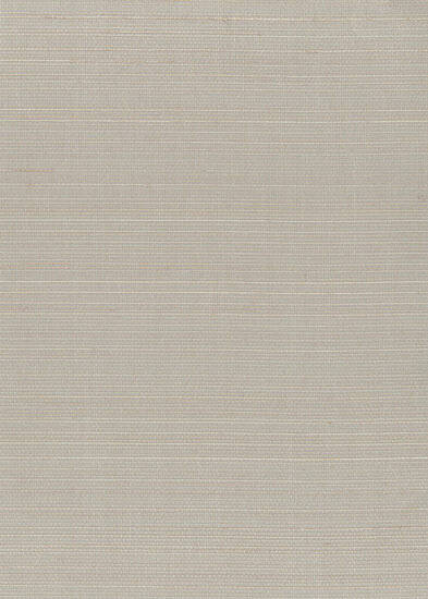 Greenland Natural Palette N168NA0112 - Abaca - Zilver Behang