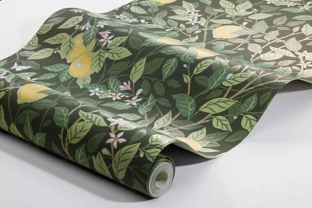 Bor&aring;stapeter Orangeri Citrontr&auml;d 5701 Behang