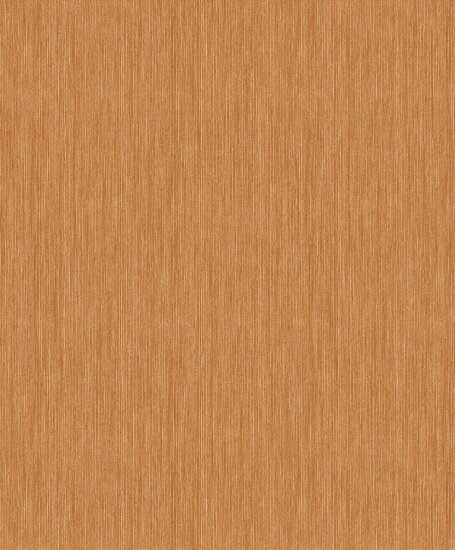 HookedOnWalls Passe Partout Tone on Tone RAFIA 4466 Behang