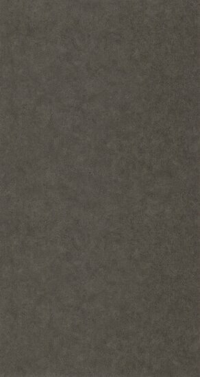 Caselio Azur AZU105242429 - Grijs Behang