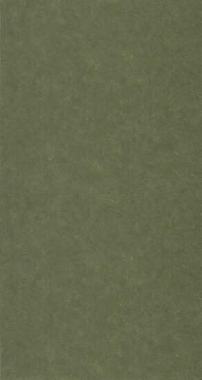 Caselio Azur AZU105257024 - Groen Behang