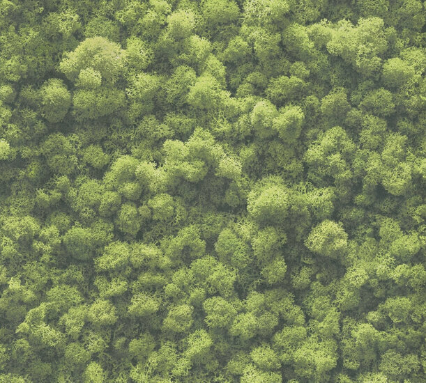 AS Creation PintWalls II - 39405-1 / 394051 Groen Behang