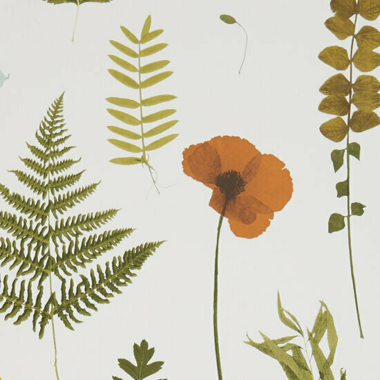 Clarke &amp; Clarke Botanica W0091/04 - Multicolours Behang