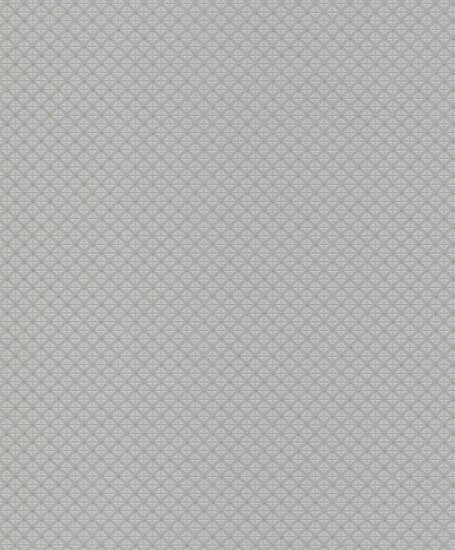 Rasch Tapetenwechsel II 506754 Grijs Behang