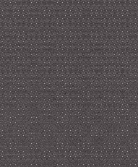 Rasch Tapetenwechsel II 506785 Zwart Behang