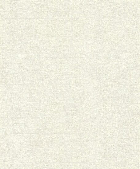 Rasch Tapetenwechsel II 507812 Wit Behang