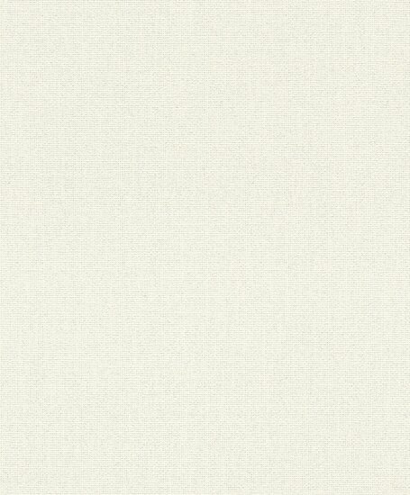 Rasch Tapetenwechsel II 651102 Wit Behang