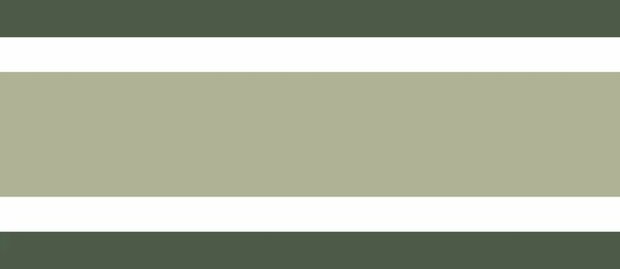 Casadeco Galons &amp; Frises 200387732 - Groen Behang