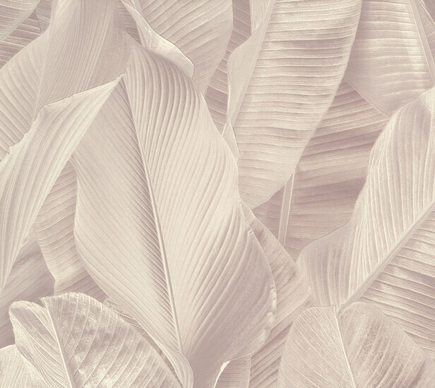 Montecolino Folium / Lymphae FO17811 Behang
