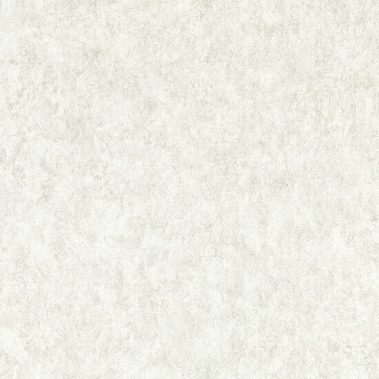 Clarke &amp; Clarke Expressions Performance Wallpapers - Grijs W0208/01 Behang