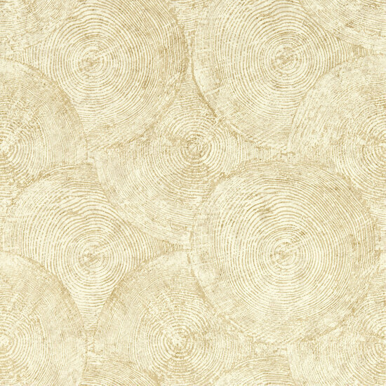 Clarke &amp; Clarke Expressions Performance Wallpapers - Beige W0209/05 Behang