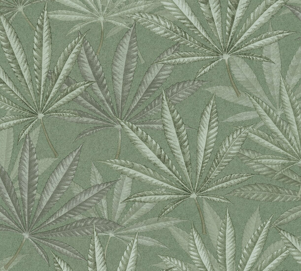 AS Creation Michalsky Living 6 - 39984-1 / 399841 Groen Behang