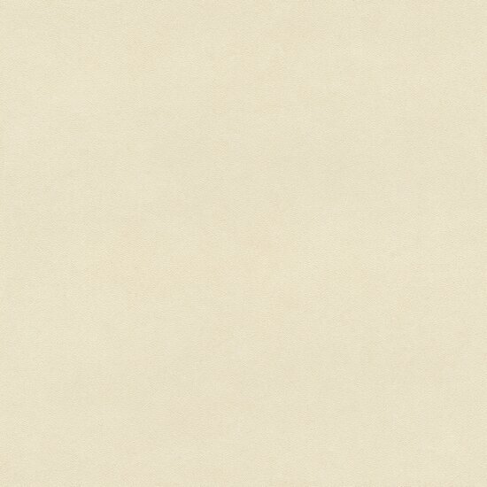 Rasch Beachhouse 479485 Beige Behang