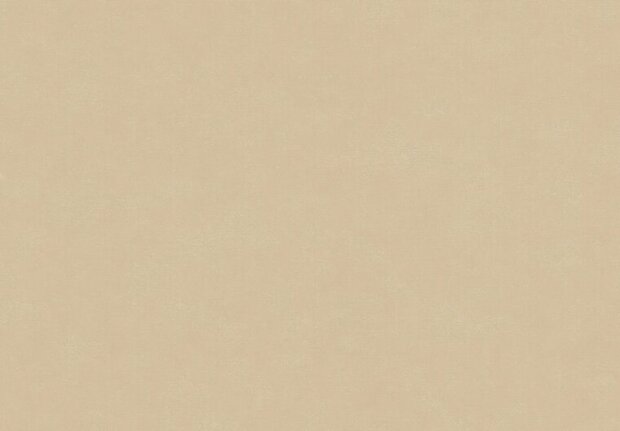 HookedOnWalls NEW BALI 46809 Beige Behang