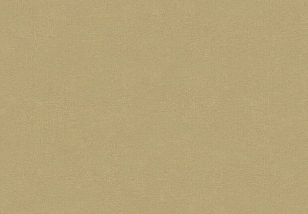 HookedOnWalls NEW BALI 46811 Beige Behang