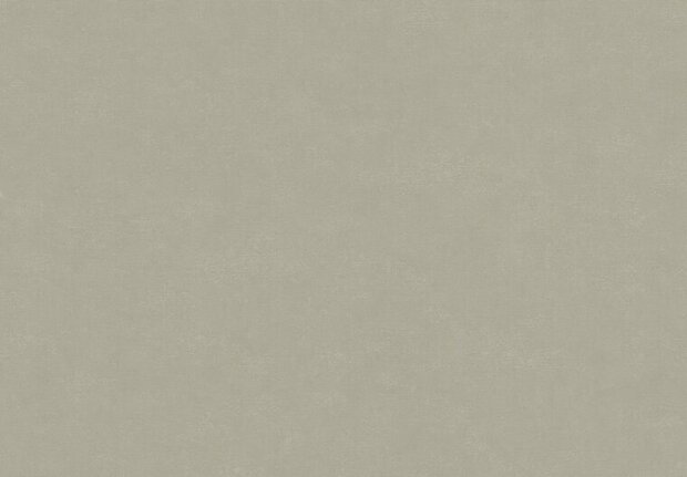 HookedOnWalls NEW BALI 46817 Taupe Behang