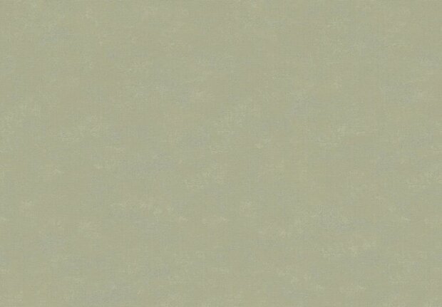 HookedOnWalls NEW BALI 46821 Groen Behang