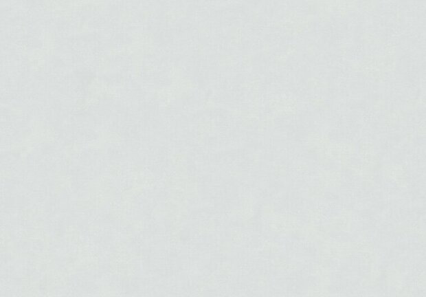 HookedOnWalls NEW BALI 46830 Grijs Behang