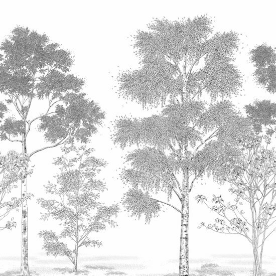 Caselio Balade - Zwart BLD106169006 Behang