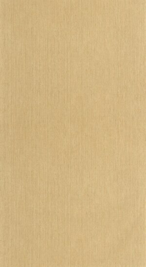Caselio Matieres - Beige MMT106011403 Behang