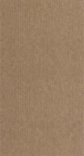 Caselio Matieres - Bruin MMT106012367 Behang