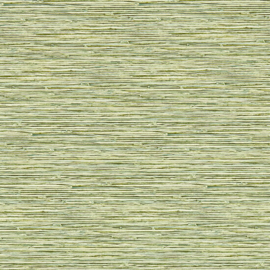 Breegan Jane x Clarke and Clarke - Groen W0192/04 Behang