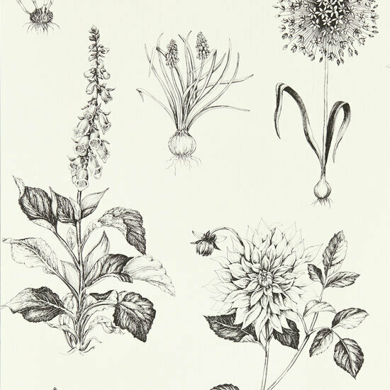 Clarke &amp; Clarke Secret Garden - Zwart W0197/02 Behang