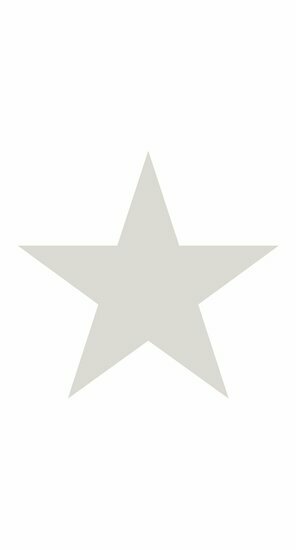 Origin Wallcoverings Precious 357218 - Grijs Behang