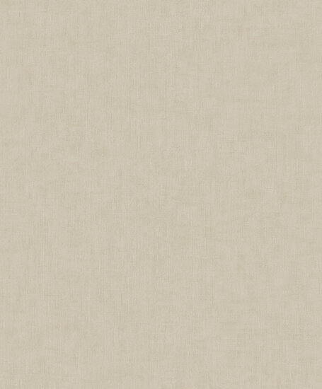 Dutch Wallcoverings Feature Walls FW1022 - Beige Behang