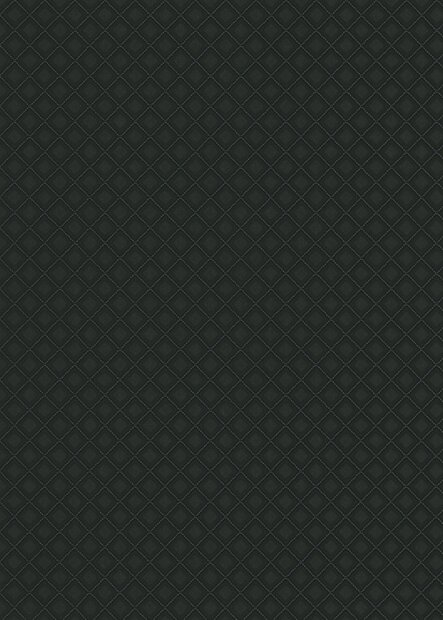 Dutch Wall Decor Erismann Versailles 10289-15 / 5021028915