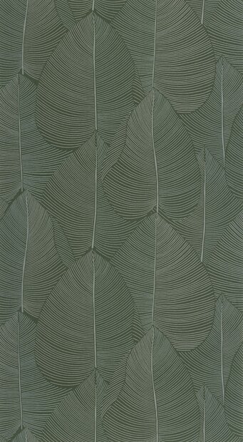 Caselio Light LIG106597070